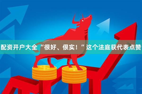 配资开户大全 “很好、佷实！”这个法庭获代表点赞