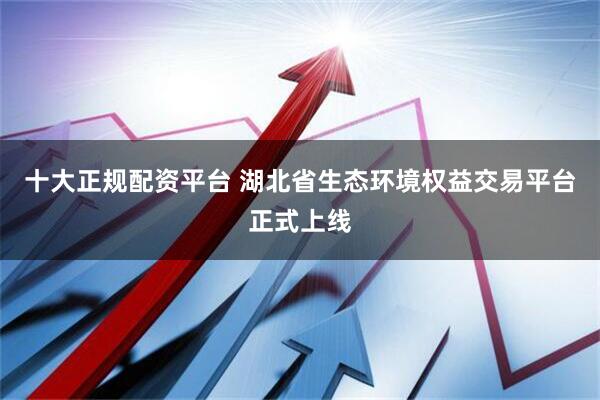 十大正规配资平台 湖北省生态环境权益交易平台正式上线
