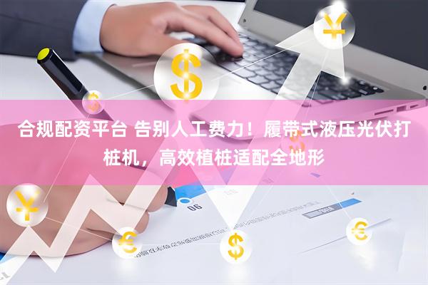 合规配资平台 告别人工费力！履带式液压光伏打桩机，高效植桩适配全地形