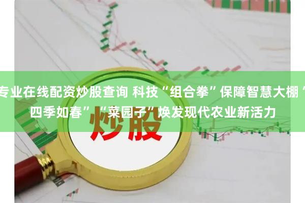 专业在线配资炒股查询 科技“组合拳”保障智慧大棚“四季如春” “菜园子”焕发现代农业新活力