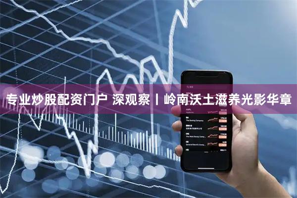 专业炒股配资门户 深观察丨岭南沃土滋养光影华章